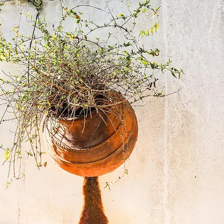 וילה Vale De Ursa - 16 - By Bedzy Sesmarias