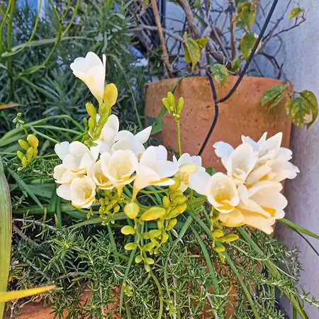 Vale De Ursa - 16 - By Bedzy וילה Sesmarias